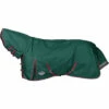 2023 Weatherbeeta Comfitec Plus Dynamic II Lite Combo Neck Rug - Green / Grey / Red -THE DRILLSHED Shop 1006910000 GREENGREYRED WB CFT PDYNMC II CMB Image Null Hero.700x700