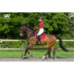 Woof Wear Dressage Saddle Cloth - Shiraz Colour Shiraz -THE DRILLSHED Shop 1789 Shiraz201.700x700