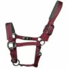 2022 Woof Wear Contour Head Collar WS0022 - Shiraz Colour Shiraz -THE DRILLSHED Shop 202120Woof20Wear20Contour20Head20Collar2020WS002220 20Shiraz.700x700