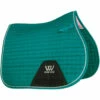 2022 Woof Wear Pony GP Saddle Cloth WS0008 - Ocean Colour Ocean -THE DRILLSHED Shop 202120Woof20Wear20Pony20GP20Saddle20Cloth20WS000820 20Ocean.700x700