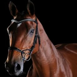 2022 Collegiate Comfitec Patent Bridle 8111 - Black Colour Black