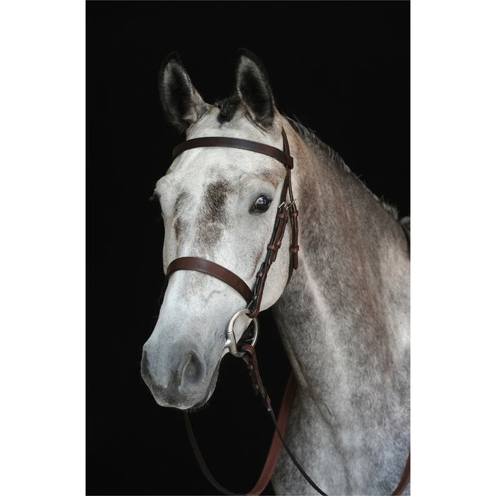 2022 Collegiate Hunt Cavesson Bridle IV 800800 - Brown Colour Brown 3 2022 Collegiate Hunt Cavesson Bridle IV 800800 - Brown Colour Brown