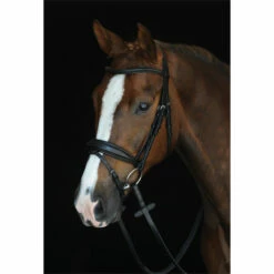 2022 Collegiate Mono Crown Padded Raised Flash Bridle 800902 - Black Colour Black