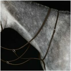 2022 Collegiate Running Martingale IV 800902 - Brown Colour Brown