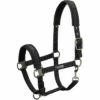 2022 Eskadron Pin Buckle Headcollar 410173815 - Black -THE DRILLSHED Shop 202220Eskadron20Pin20Buckle20Headcollar2041017381520 20Black20Main.700x700