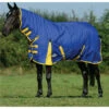 2022 Weatherbeeta Comfitec Classic Combo Neck Medium Turnout Rug 1000423 - Blue / Lemon Colour Blue/Lemon -THE DRILLSHED Shop 202220Weatherbeeta20Comfitec20Classic20Combo20Neck20Medium20Rug20100042320 20Blue20Lemon201.700x700