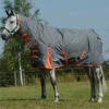 2022 Weatherbeeta Comfitec Classic Combo Neck Medium Turnout Rug 1000423 - Gunmetal / Coral Colour Gunmetal/Coral 1 2022 Weatherbeeta Comfitec Classic Combo Neck Medium Turnout Rug 1000423 - Gunmetal / Coral Colour Gunmetal/Coral -THE DRILLSHED Shop 202220Weatherbeeta20Comfitec20Classic20Combo20Neck20Medium20Rug20100042320 20Gunmetal20Coral201.700x700