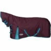 2023 Weatherbeeta Comfitec Essential Combo Neck Medium Turnout Rug 10004151 - Grape Purple / Blue Colour Blue/Grape Purple -THE DRILLSHED Shop 202220Weatherbeeta20Comfitec20Essential20Combo20Neck20Medium20Rug201000415120 20Grape20Purple20Blue1.700x700