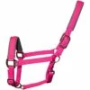 2022 Woof Wear Cob Contour Head Collar WS0022-BERY-COB - Berry -THE DRILLSHED Shop 202220Woof20Wear20Cob20Contour20Head20Collar20WS0022 BERY COB20 20Berry.700x700 1