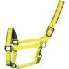 2022 Woof Wear Full Size Contour Head Collar WS0022-YELL-FS - Yellow -THE DRILLSHED Shop 202220Woof20Wear20Cob20Contour20Head20Collar20WS0022 YELL COB20 20Yellow.700x700