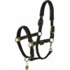 2023 Eskadron Platinum Halter Double Pin Plait Headcollar 420139821290 - Black -THE DRILLSHED Shop 202320Eskadron20Platinum20Halter20Double20Pin20Plait20Headcollar2042013982129020 20Black.700x700