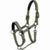 2023 HV Polo Francis Headcollar 1601093450 - Dark Oil Green