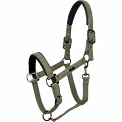 2023 HV Polo Francis Headcollar 1601093450 - Dark Oil Green