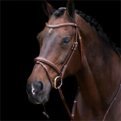 2023 HV Polo Legacy Bridle 1201093500 - Brown Colour Brown