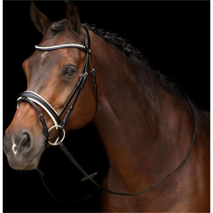 2023 HV Polo Legacy Deluxe Bridle 1201093501 - Black / White Colour Black/White 3 2023 HV Polo Legacy Deluxe Bridle 1201093501 - Black / White Colour Black/White