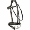 2023 Henry James Saddlery Comfort Flash Bridle HJ-BR-02 - Black Colour Black -THE DRILLSHED Shop 202320Henry20James20Saddlery20Comfort20Flash20Bridle20HJ BR 0220 20Black201.700x700