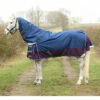 2023 Hy Equestrian DefenceX System 0g Turnout Rug With Detachable Neck Cover 2814 - Navy / Purple -THE DRILLSHED Shop 202320Hy20Equestrian20DefenceX20System200g20Turnout20Rug20with20Detachable20Neck20Cover20281420 20Navy2020Purple.700x700