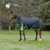 2023 Weatherbeeta Comfitec Classic Combo Neck Medium Turnout Rug 1000423 - Black / Lime Green Colour Black/Lime Green -THE DRILLSHED Shop 202320Weatherbeeta20Comfitec20Classic20Combo20Neck20Medium20Turnout20Rug20100042320 20Black20Lime20Green20203.700x700