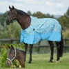 2023 Weatherbeeta Comfitec Essential Standard Neck Lite Turnout With FREE Headcollar - Seahorse Print -THE DRILLSHED Shop 202320Weatherbeeta20Comfitec20Essential20Standard20Neck20Lite20Coordinate20Headcollar20100042031002094020 20Seahorse20Print20Light20Blue20Main20New.700x700