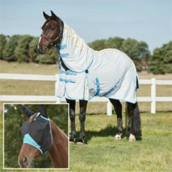 2023 Weatherbeeta Summer Sheet IV Lite Rug & Fly Mask SUPER DEAL WTRFM1 - Seahorse Print / Black / Turquoise