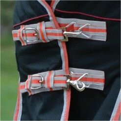 2022 Weatherbeeta Comfitec Premier & Therapy-Tec Medium Detach-A-Neck Turnout Rug - Black / Red -THE DRILLSHED Shop 2217 202220Weatherbeeta20Comfitec20Premier20With20Therapy Tec20Medium20Detach A Neck20Rug20100161401020 20Black2020Silver2020Red3.700x700