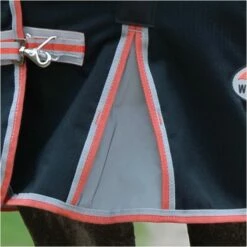 2022 Weatherbeeta Comfitec Premier & Therapy-Tec Medium Detach-A-Neck Turnout Rug - Black / Red -THE DRILLSHED Shop 2217 202220Weatherbeeta20Comfitec20Premier20With20Therapy Tec20Medium20Detach A Neck20Rug20100161401020 20Black2020Silver2020Red4.700x700