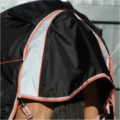 2022 Weatherbeeta Comfitec Premier & Therapy-Tec Medium Detach-A-Neck Turnout Rug - Black / Red -THE DRILLSHED Shop 2217 202220Weatherbeeta20Comfitec20Premier20With20Therapy Tec20Medium20Detach A Neck20Rug20100161401020 20Black2020Silver2020Red5.700x700