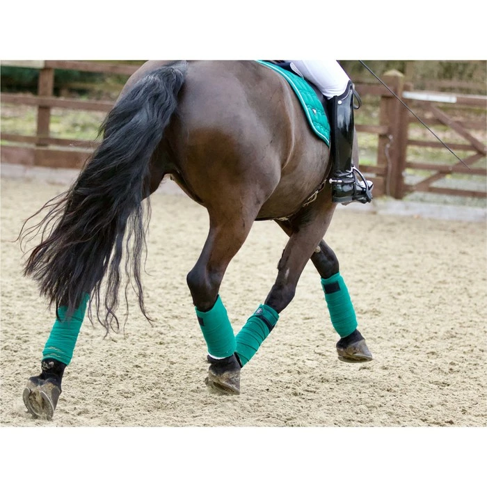 2022 Woof Wear Vision Polo Bandages WB0069 - British Racing Green Colour British Racing Green 4 2022 Woof Wear Vision Polo Bandages WB0069 - British Racing Green Colour British Racing Green - Image 2