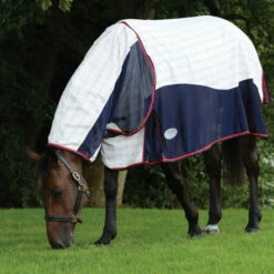 Weatherbeeta Breeze With Surcingle III Combo Neck Rug - White / Navy -THE DRILLSHED Shop 30f1c45a34a32ac999f914e280bb551a 9.700x700