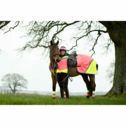 2022 Equisafety Charlotte Dujardin Hi Vis Multi Coloured Horse Sheet CD-MCQWS - Pink / Yellow -THE DRILLSHED Shop 3127 Equisafety Jan22 144201201.700x700