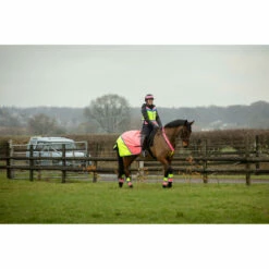 2022 Equisafety Charlotte Dujardin Hi Vis Multi Coloured Horse Sheet CD-MCQWS - Pink / Yellow -THE DRILLSHED Shop 3127 Equisafety Jan22 152201.700x700