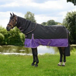 Hy Equestrian Stormx Original 200g Detach-A-Neck Turnout Rug - Black / Purple