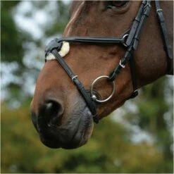 2022 Collegiate Comfitec Grackle Bridle 100637700 - Black Colour Black -THE DRILLSHED Shop 3431 202120Collegiate20Comfitec20Grackle20Bridle2010063770020 20Black20detail.700x700