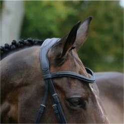 2021 Collegiate Comfitec Vogue Anatomical Bridle 100637600 - Black Colour Black -THE DRILLSHED Shop 3436 202120Collegiate20Comfitec20Vogue20Anatomical20Bridle2010063760020 20Black20detail.700x700