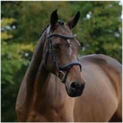 Front Page -THE DRILLSHED Shop 3436 202120Collegiate20Comfitec20Vogue20Anatomical20Bridle2010063760020 20Black20right20side.700x700