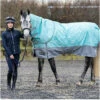 2022 Hy Equestrian StormX Original This Esme 200 Turnout Rug W/ Detachable Neck 35125 - Mint / Grey