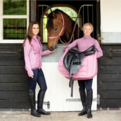 2022 Hy Equestrian Synergy Saddle Pad 34492 - Grape / Silver 8 2022 Hy Equestrian Synergy Saddle Pad 34492 - Grape / Silver -THE DRILLSHED Shop 35312 Hy Equestrian Synergy Saddle Pad Grape 03.700x700