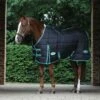 2022 Weatherbeeta Green-Tec Medium-Lite Standard Neck Rug - Black / Green -THE DRILLSHED Shop 3971 1.700x700