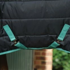 2022 Weatherbeeta Green-Tec Medium-Lite Standard Neck Rug - Black / Green -THE DRILLSHED Shop 3971 3971 6.700x700