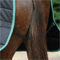 2022 Weatherbeeta Green-Tec Medium-Lite Standard Neck Rug - Black / Green -THE DRILLSHED Shop 3971 3971 7.700x700
