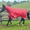 2022 Weatherbeeta Comfitec Classic Medium-Lite Combo Neck Turnout Rug - Red / Silver -THE DRILLSHED Shop 3c56e36f1a6cda77c5882c094bb7b2a4 33.700x700