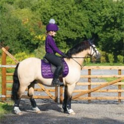 2022 Woof Wear Vision GP Saddle Pad WS0009 - Damsen Purple Colour Damsen Purple -THE DRILLSHED Shop 4638 Damson20Vision20320 20low20res.700x700