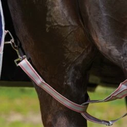 2022 Weatherbeeta Comfitec Essential Detach-A-Neck Medium Rug 10000180 - Navy / Silver / Red -THE DRILLSHED Shop 4898 202220Weatherbeeta20Comfitec20Essential20Detach A Neck20Medium20Rug201000018020 20Navy20Silver2020Red3.700x700