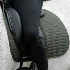 Weatherbeeta Prime Dressage Saddle Pad 1000745 - Olive Colour Olive -THE DRILLSHED Shop 5211 98769531462dae2e48552a0f395ecf0a.700x700