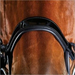2022 Collegiate Comfitec Patent Bridle 8111 - Black Colour Black -THE DRILLSHED Shop 5218 202220Collegiate20Comfitec20Patent20Bridle20811120 20Black3.700x700
