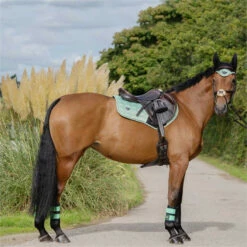 2022 Woof Wear Vision Dressage Pad WS0006 - Pistachio Colour Pistachio -THE DRILLSHED Shop 5528 202220Woof20Wear20Vision20Dressage20Pad20WS000620 20Pistachio20Lifestyle201.700x700