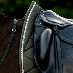2022 PS Of Sweden Signature Dressage Cotton Saddle Pad 1110-022 - Forest Green -THE DRILLSHED Shop 5637 202220PS20Of20Sweden20Signature20Dressage20Cotton20Saddle20Pad201110 02220 2020Forest20Green20Lifestyle201.700x700