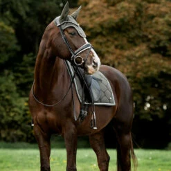 2022 PS Of Sweden Signature Dressage Cotton Saddle Pad 1110-022 - Forest Green -THE DRILLSHED Shop 5637 202220PS20Of20Sweden20Signature20Dressage20Cotton20Saddle20Pad201110 02220 2020Forest20Green20Lifestyle203.700x700