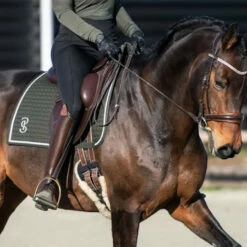 2023 PS Of Sweden Elite Dressage Saddle Pad 1110038665 - Dark Green -THE DRILLSHED Shop 6074 202320PS20of20Sweden20Elite20Dressage20Saddle20Pad20111003866520 20Dark20Green20Lifestyle.700x700