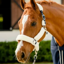 2023 PS Of Sweden Fluffy Halter 1310-001 - White / Navy -THE DRILLSHED Shop 6085 202320PS20of20Sweden20Fluffy20Halter201310 00120 20White20Lifestyle.700x700